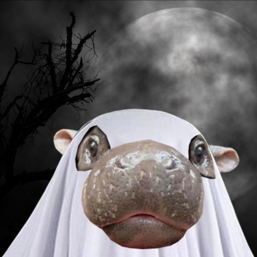General The Spooky pup