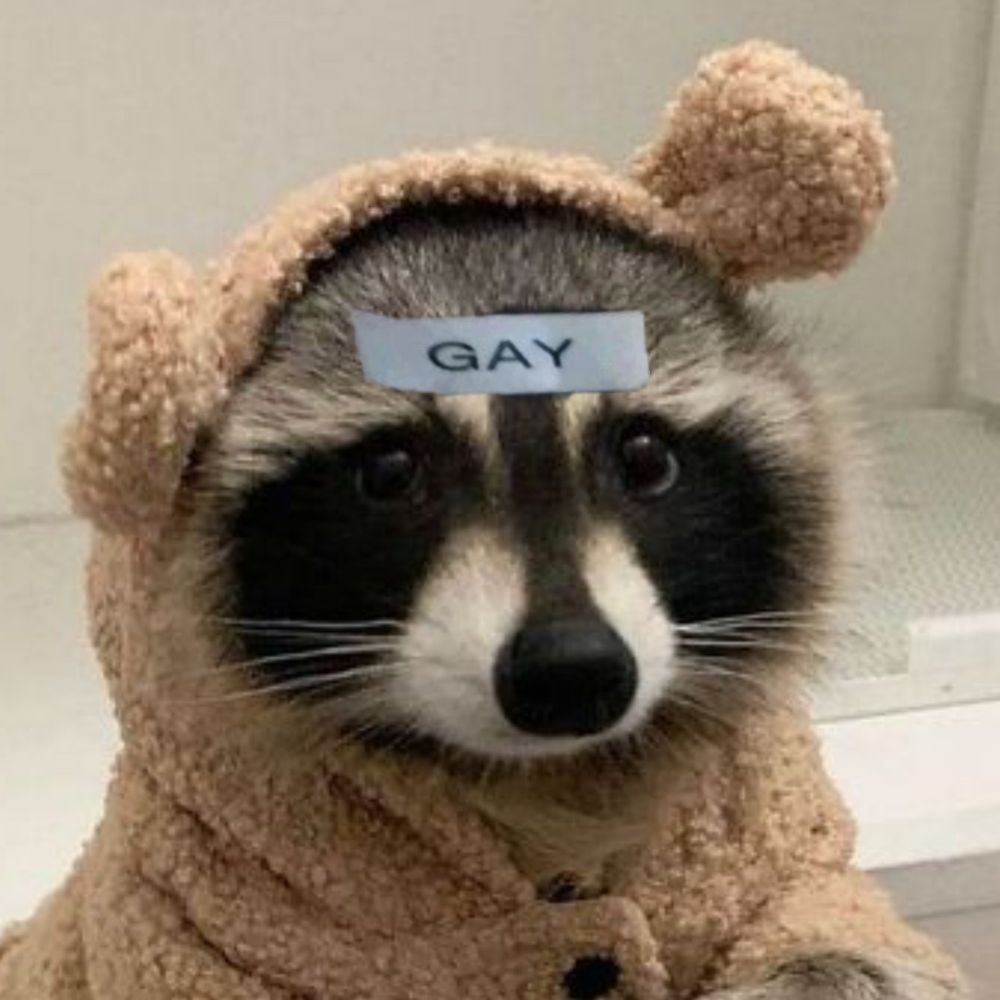 Fio 🦝