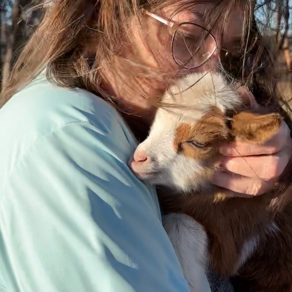 Pet Lady
