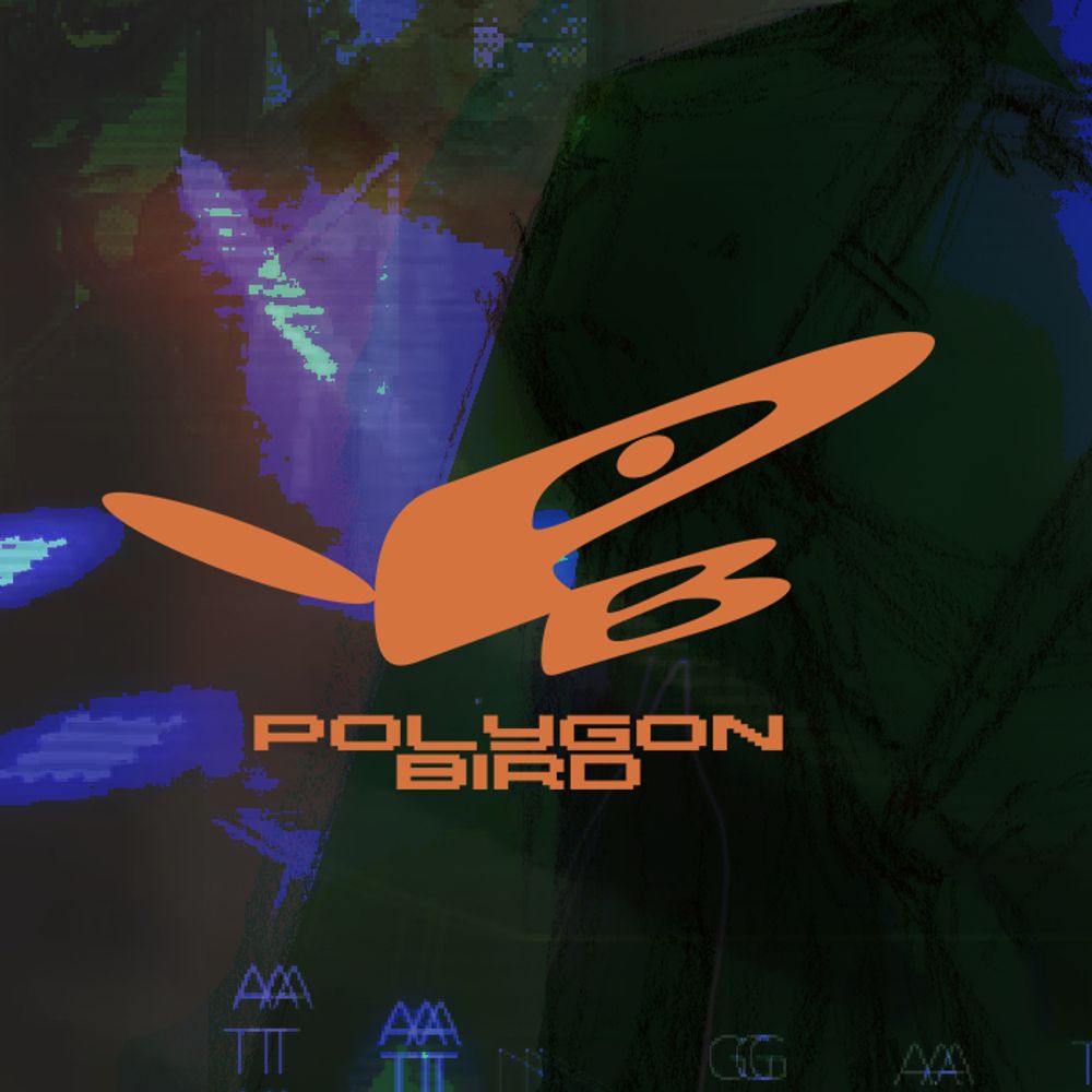POLYGON BIRD Games