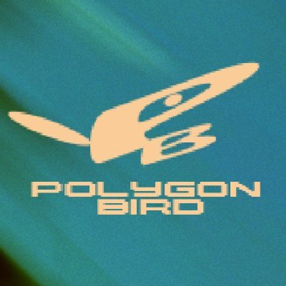 POLYGON BIRD Games