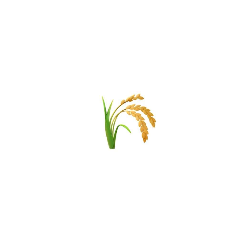 むぎ