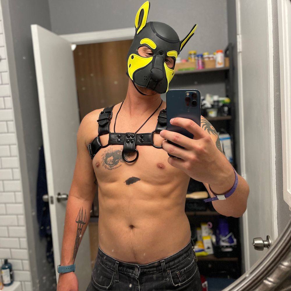 Chispa Pup ⚡️🐶
