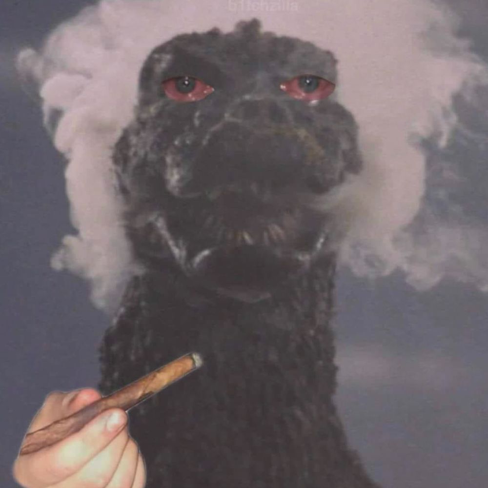 Corvin