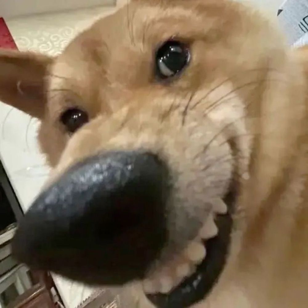 짜부