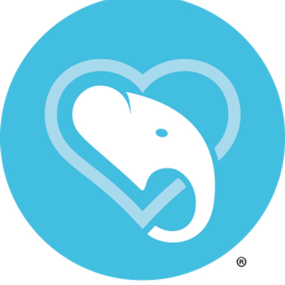 World Elephant Day