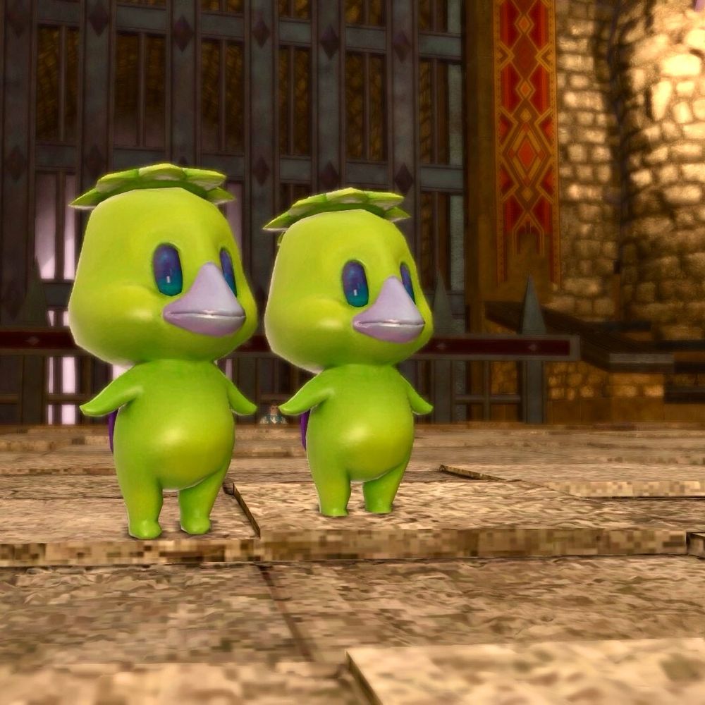 ノワ