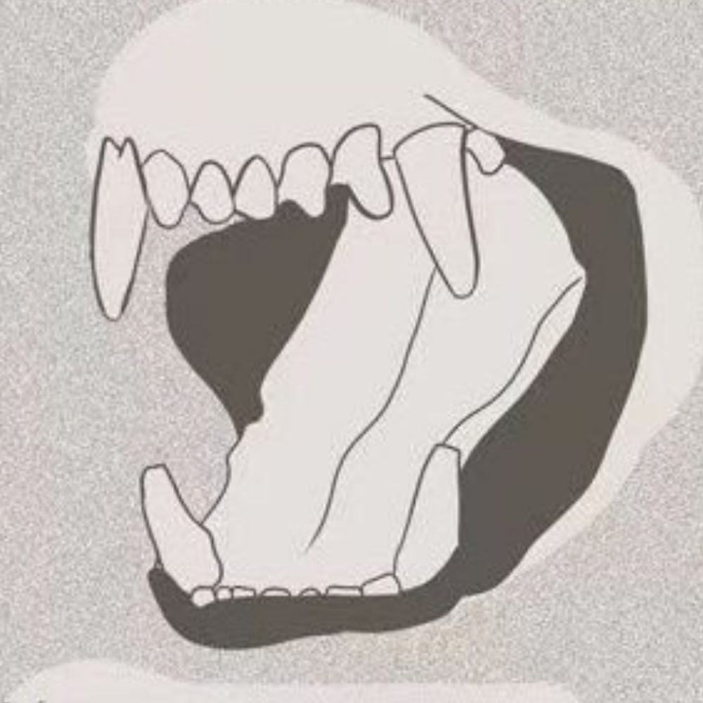 岚瑞