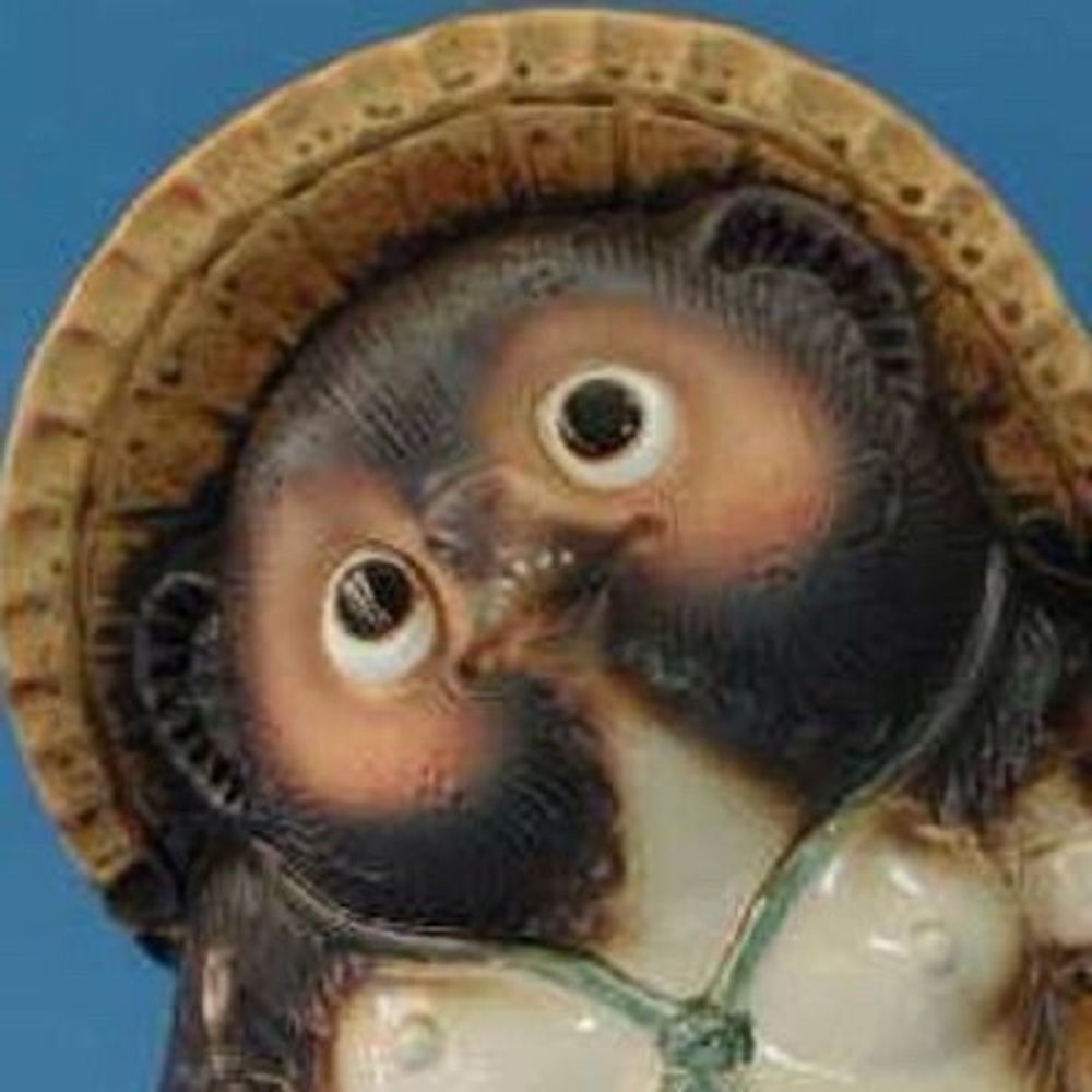 黑貍