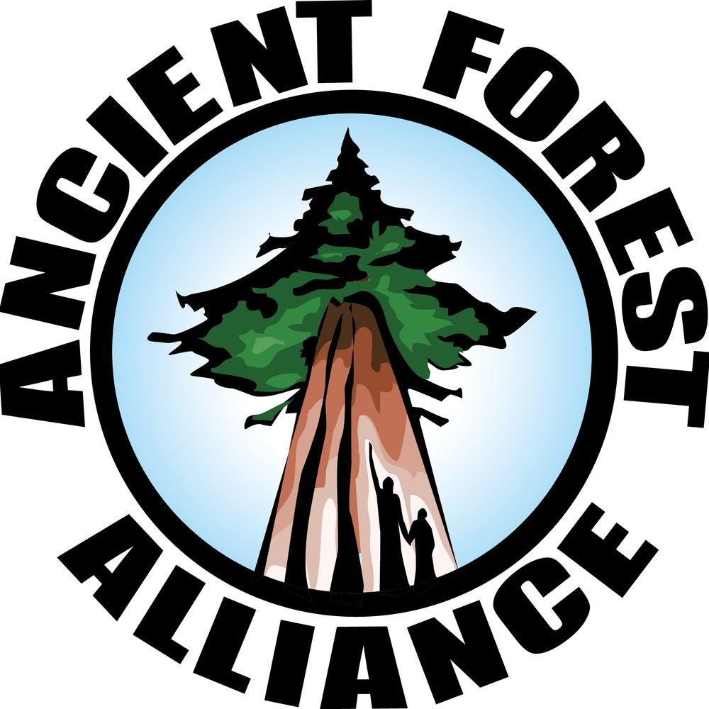 Ancient Forest Alliance
