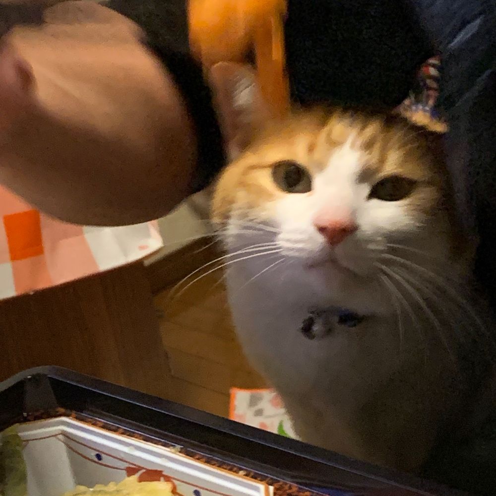 おみね