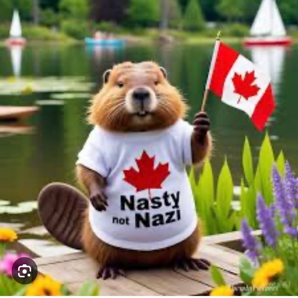 d2earth.bsky.social profile picture