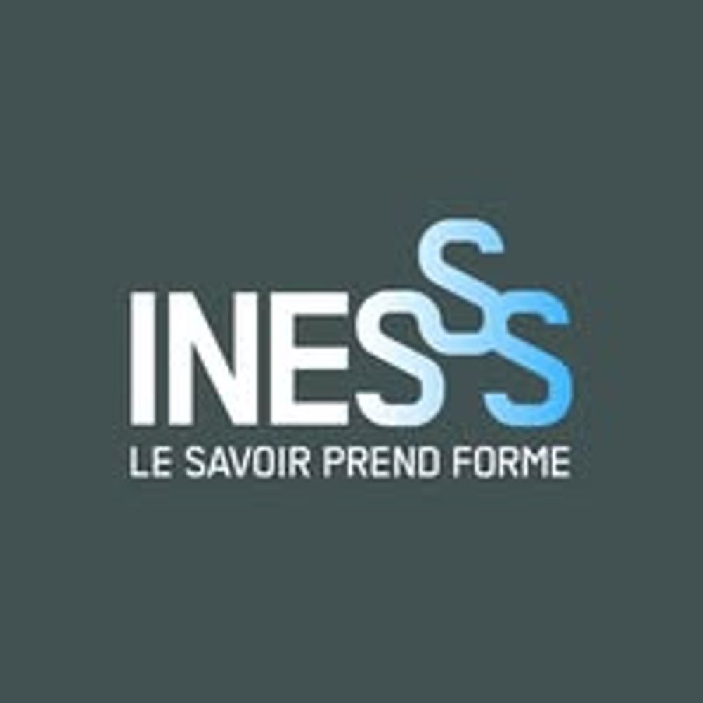 Institut national d'excellence en santé et en services sociaux