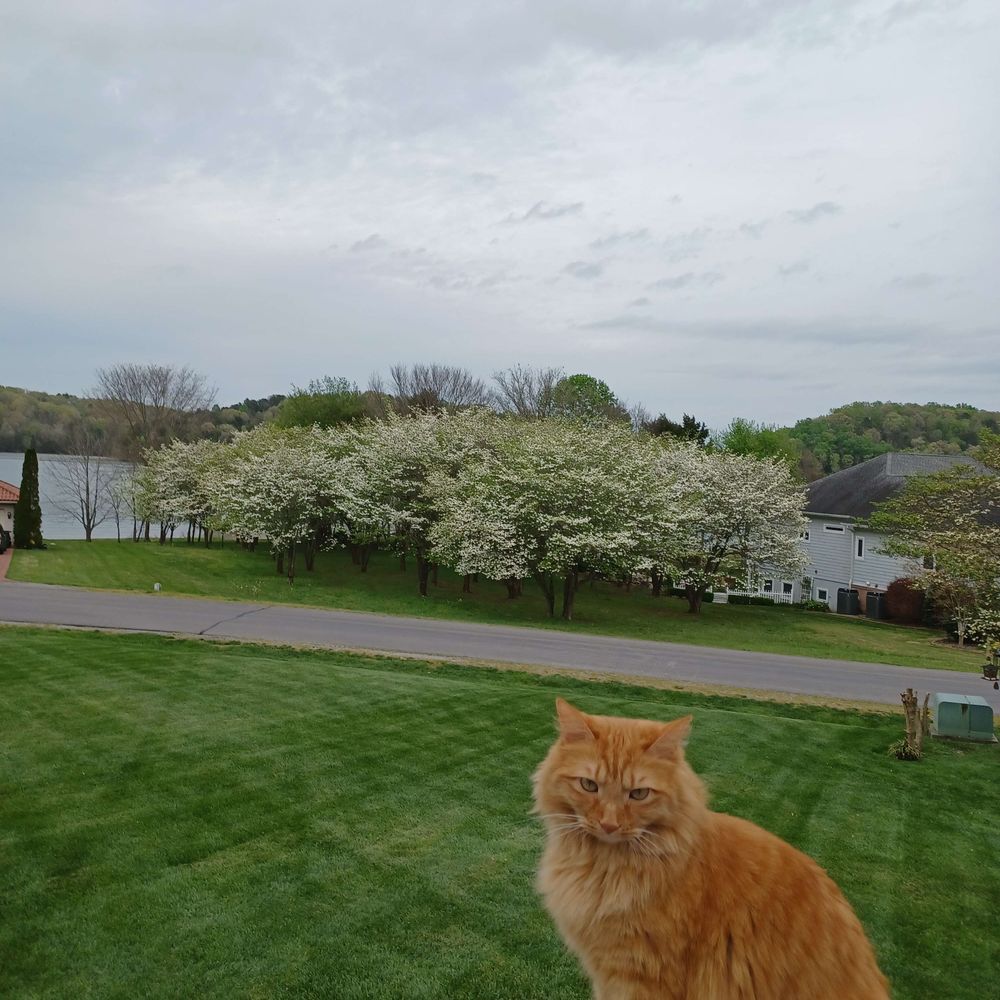 charliebooboo.bsky.social profile picture