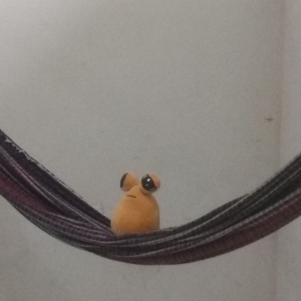 vniço