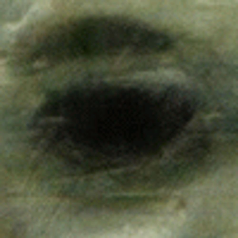 MaaKarl