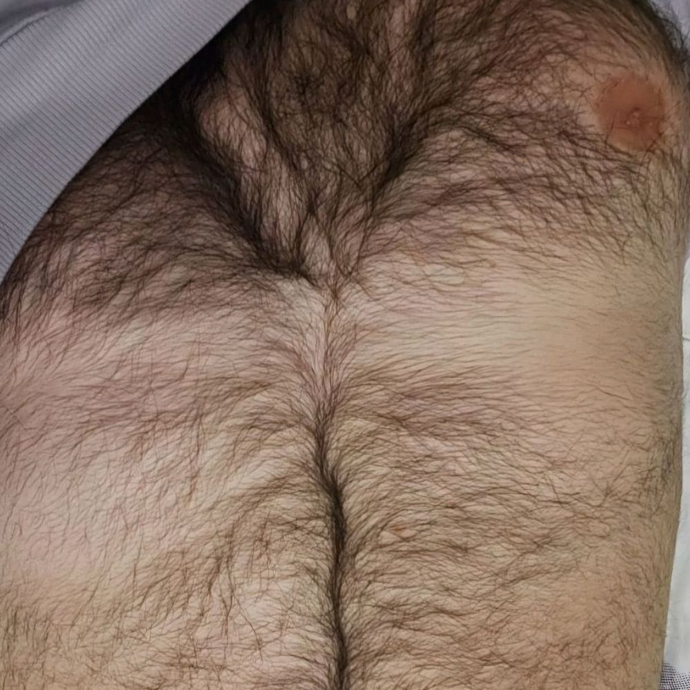 Turkishbear
