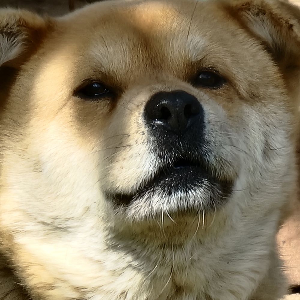예: