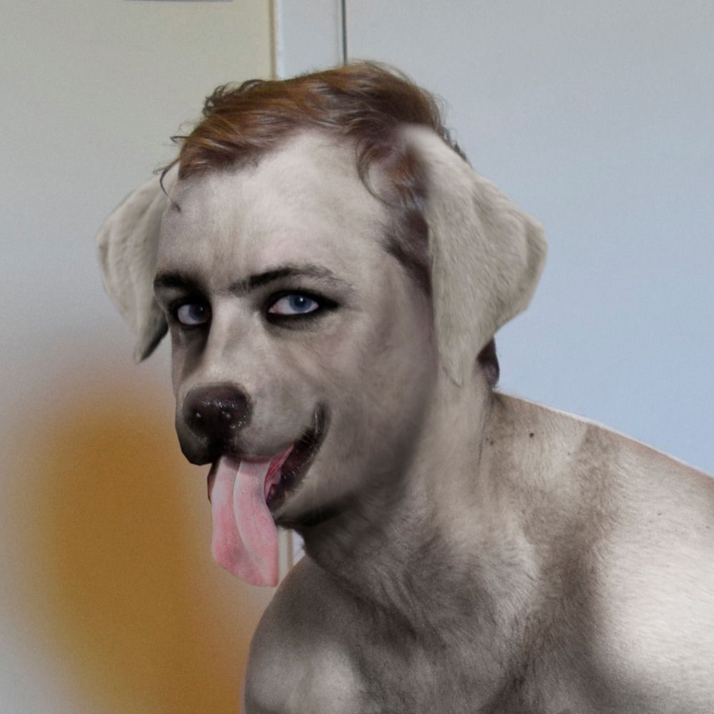 HumanimalZoo