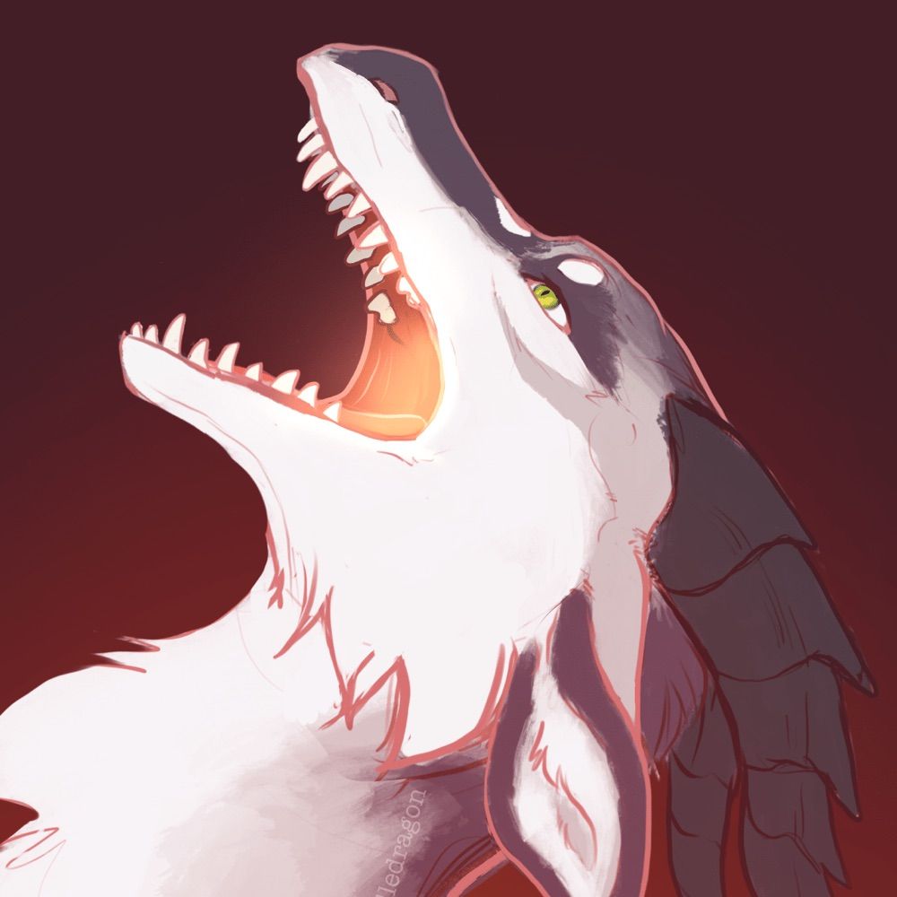 Very Angry Dragon