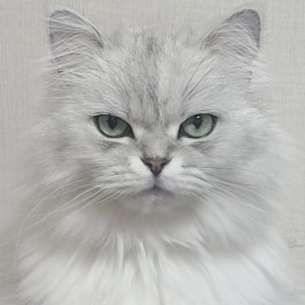 부덕군!!!