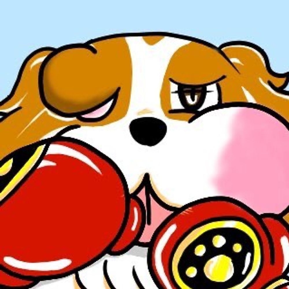 ぼくきゃば