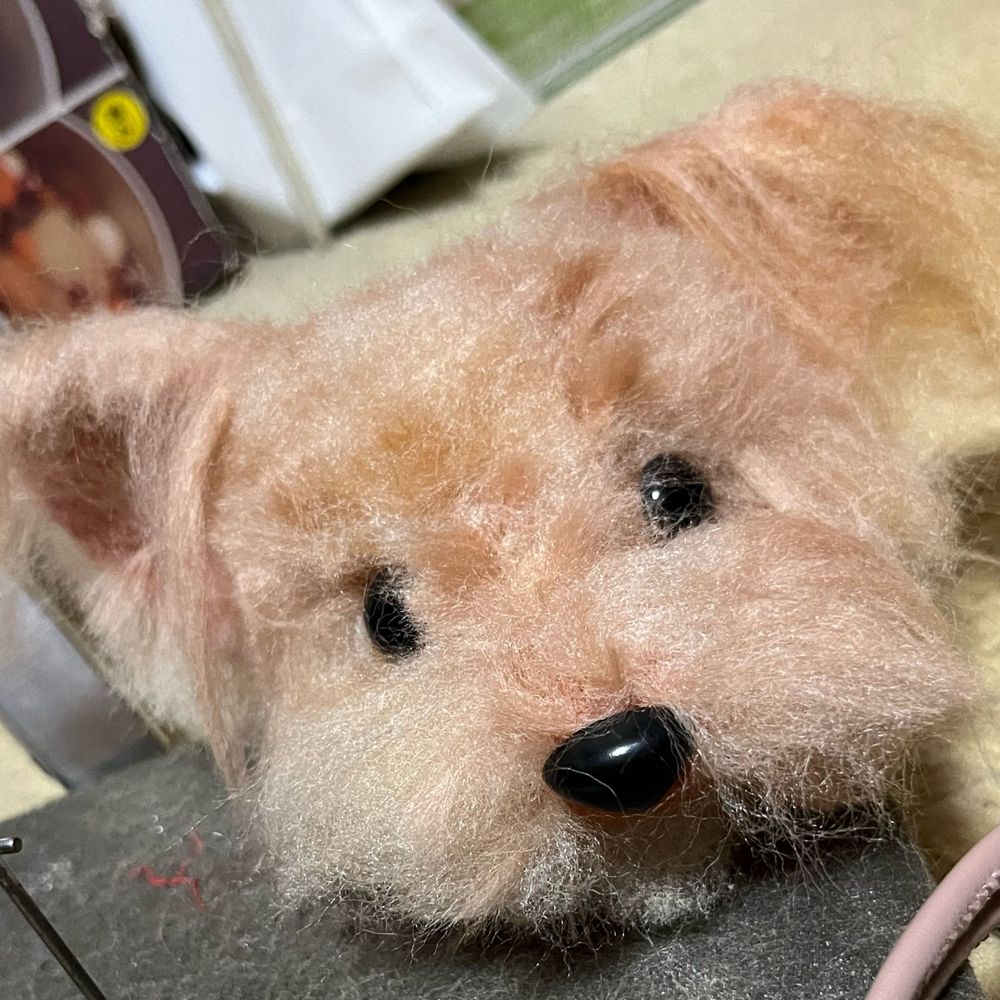 いぬのたろきち