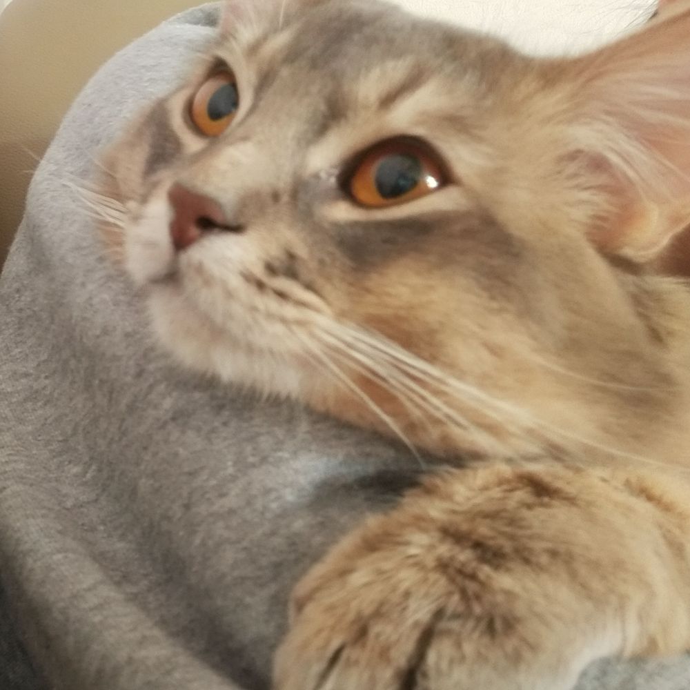 ぬぁー