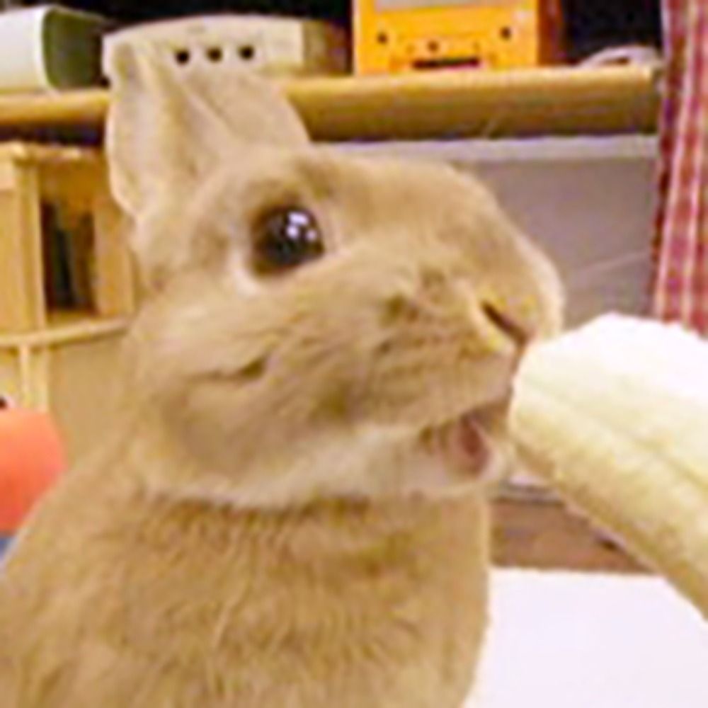 うにゃ