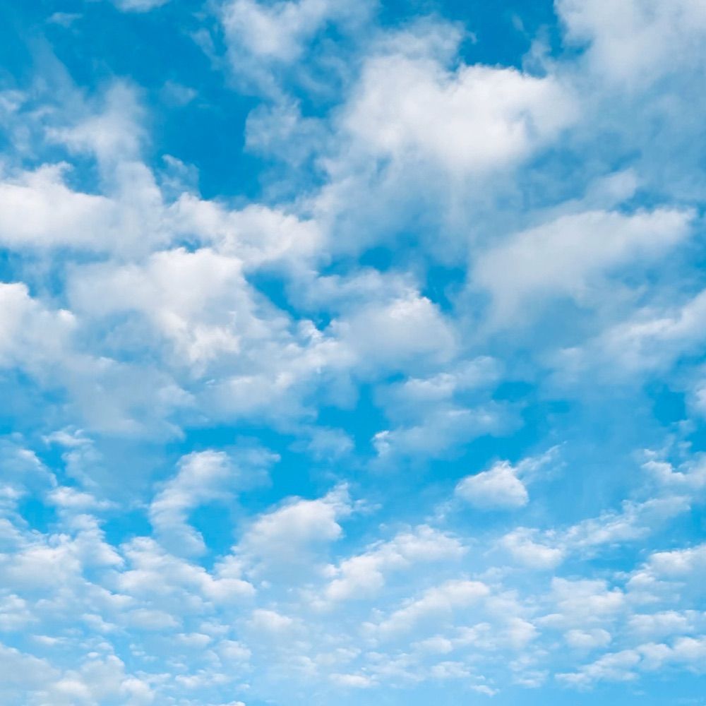 Sandi’s Bluesky