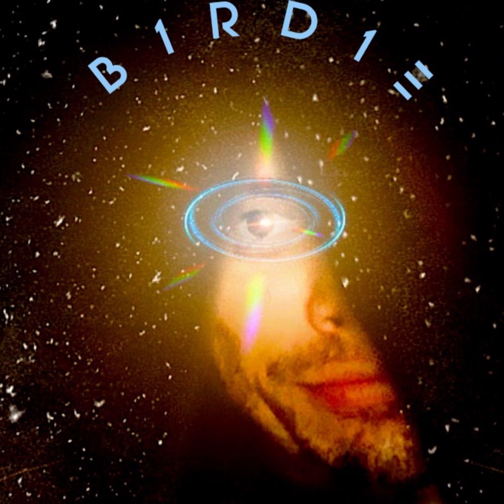 B1RD1E