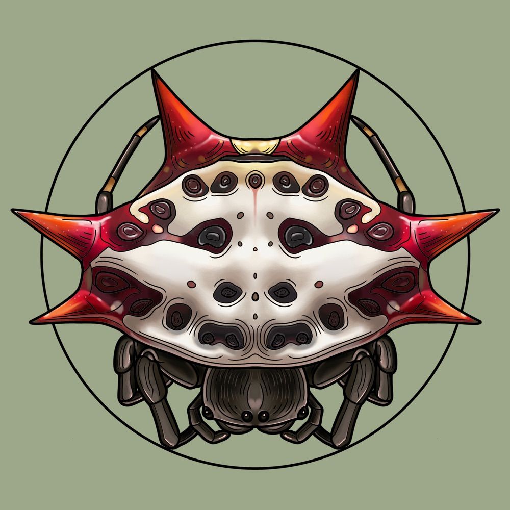 Orbweaver Tattoo