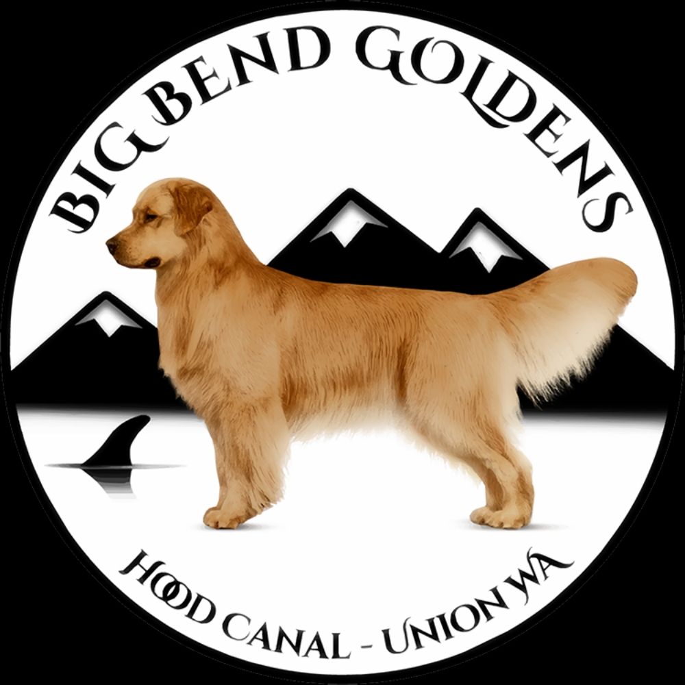 bigbendgoldens