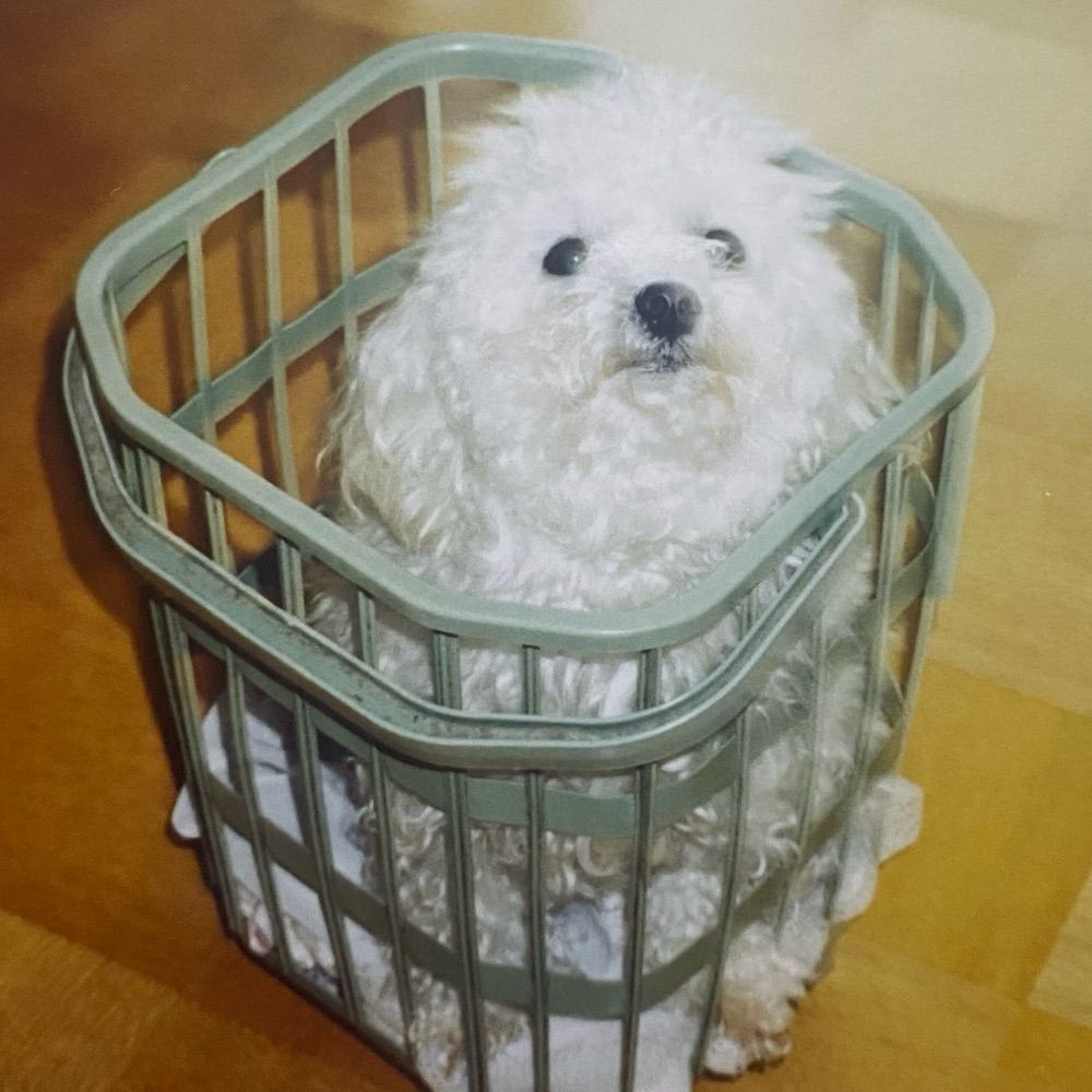 いよ