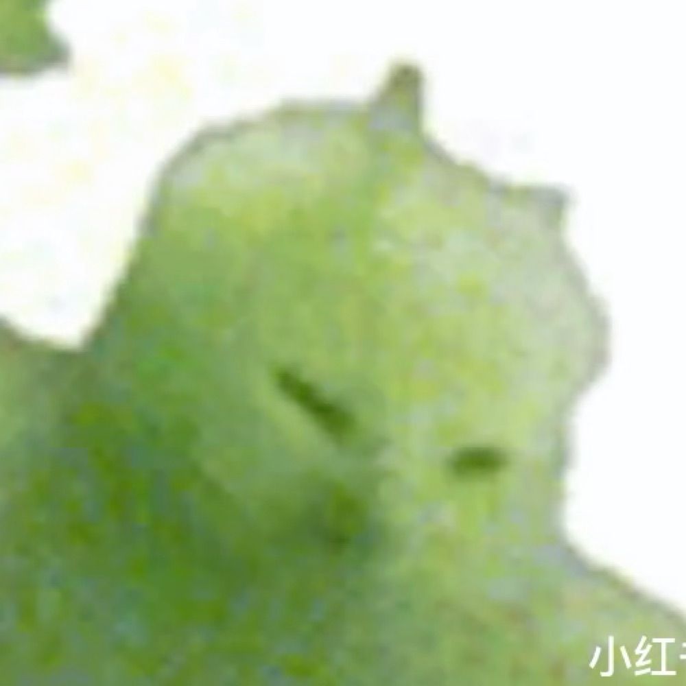 leem