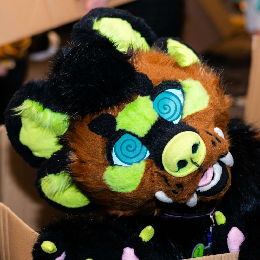 TailorTomcat