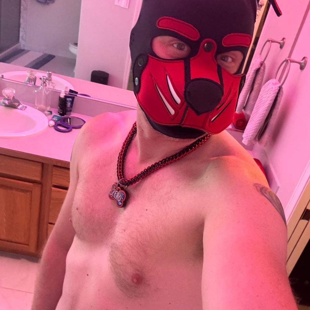 Pup Zero