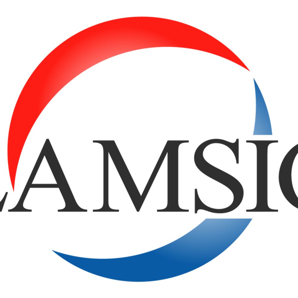 IATEFL LAMSIG