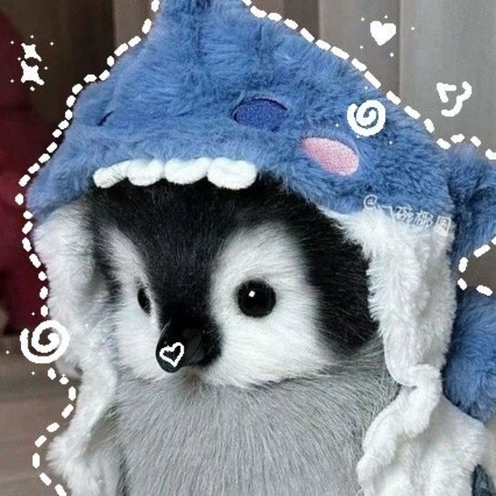 gatinho jornalista 🐧
