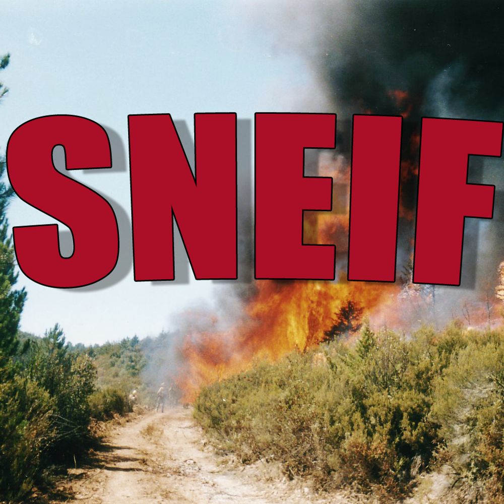 Un sistema nacional de extinción de incendios forestales - SNEIF