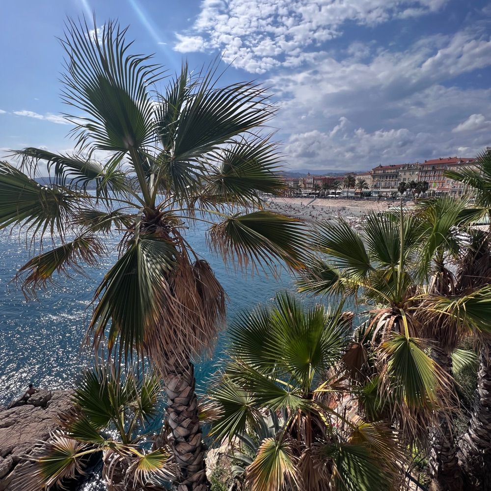 Ilovenice