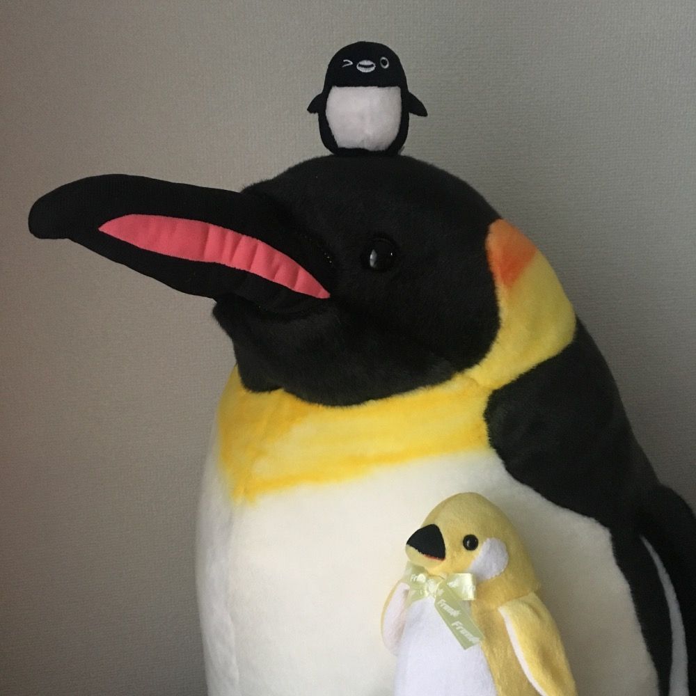 ののもも