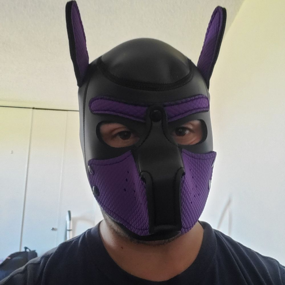 Shypup1981