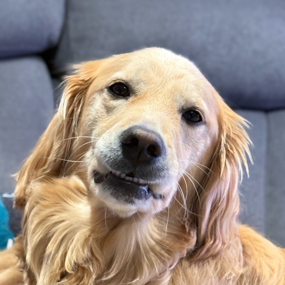 Peach the Golden