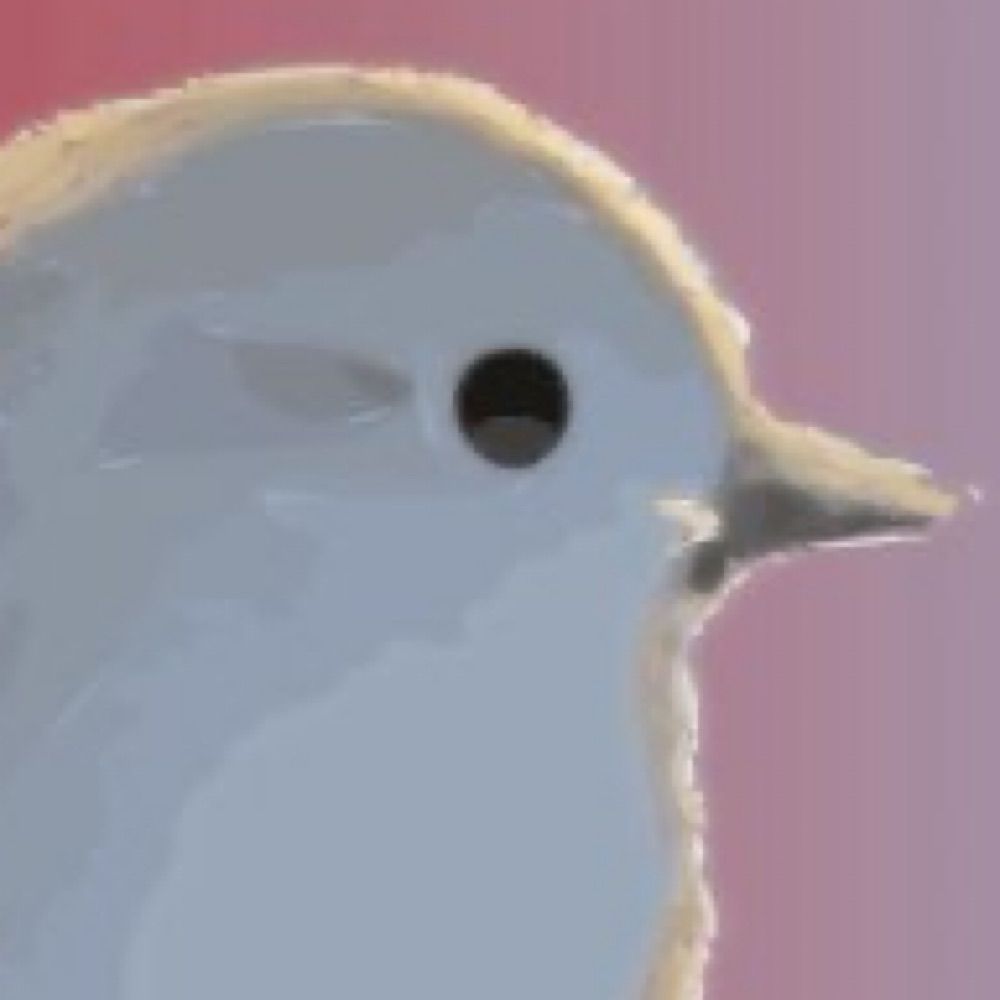 しろいとり