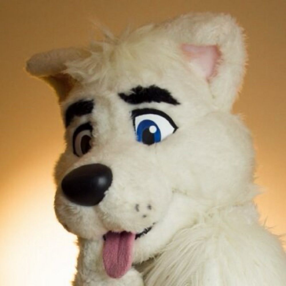 Sammy Samoyed