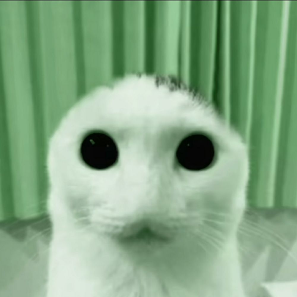 Bubbo