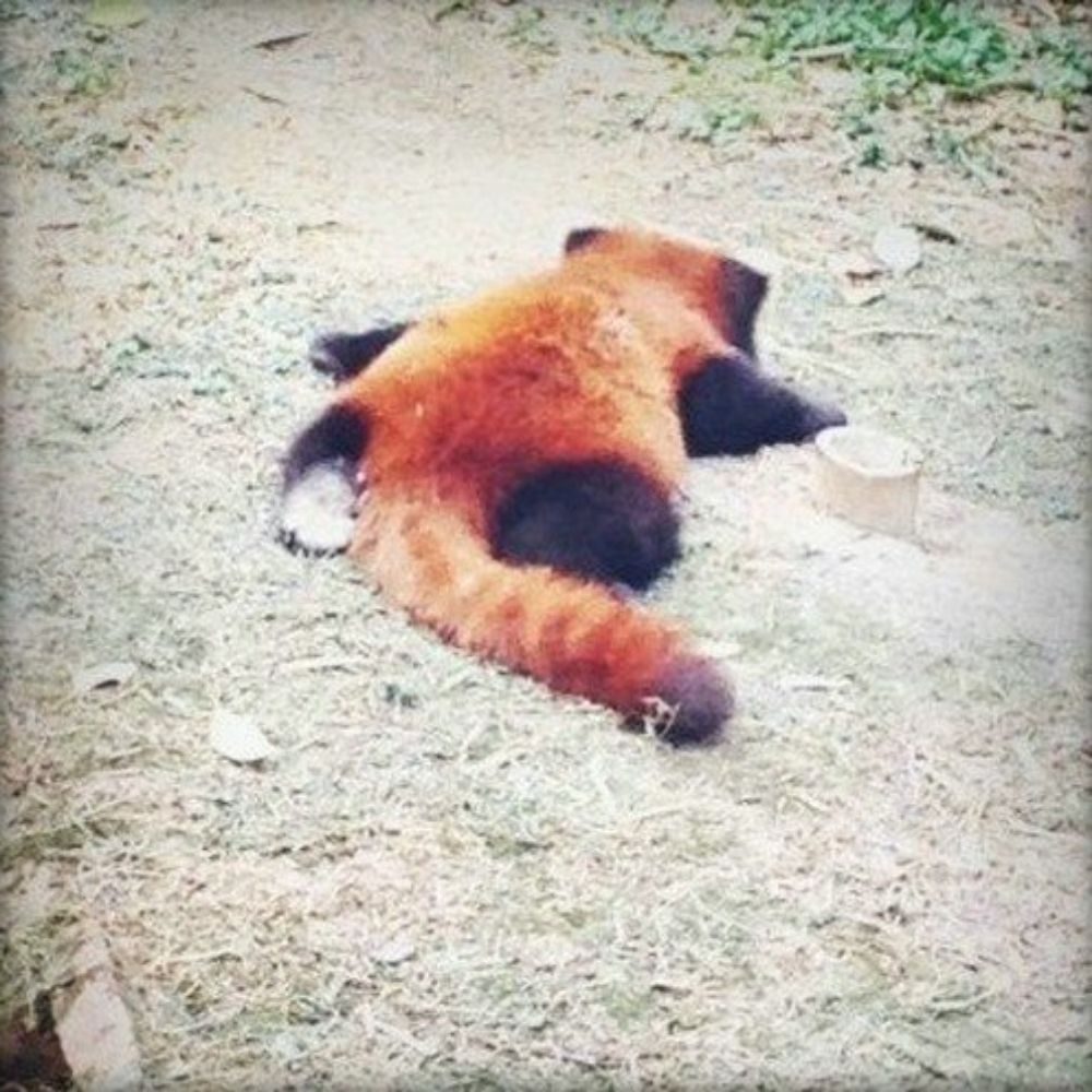 무아