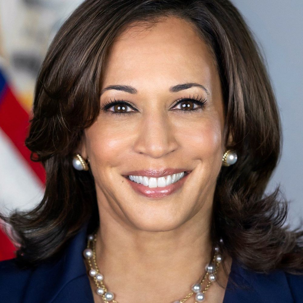 Kamala Harris for president 2028