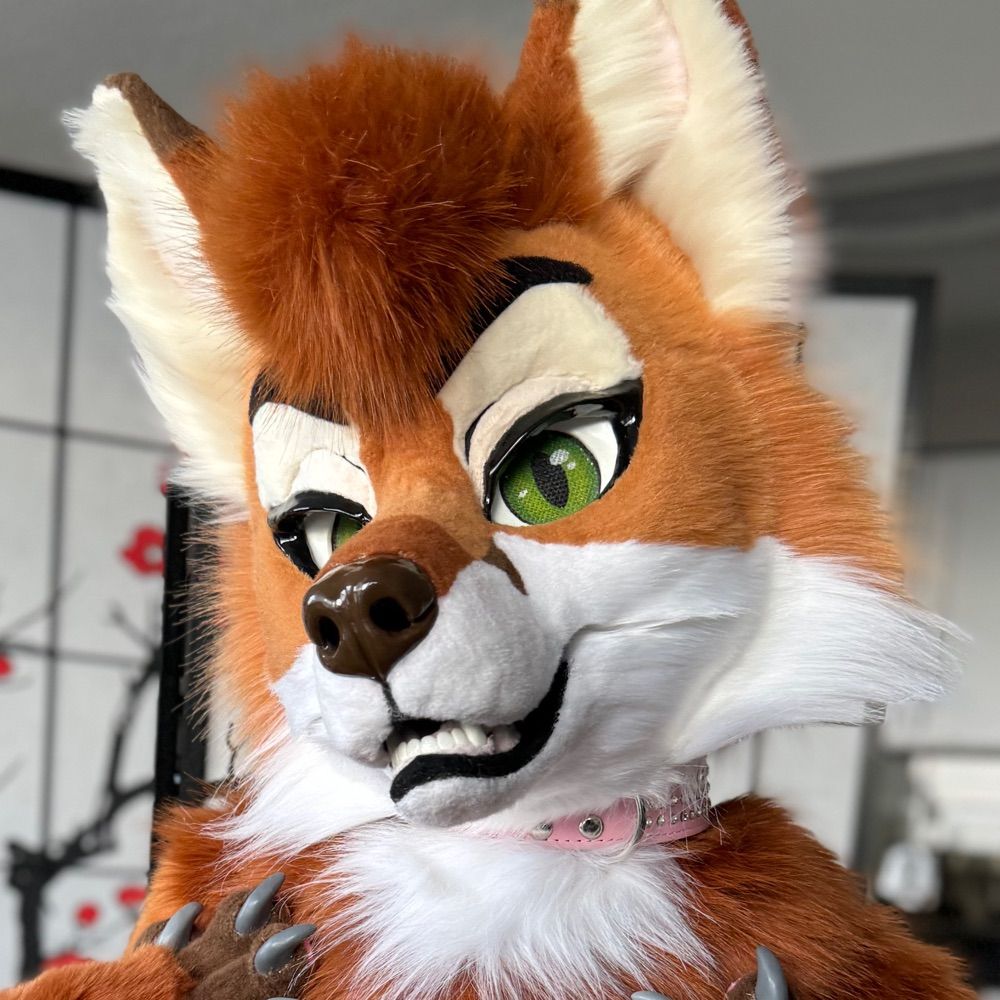 Mocha Fox 🧡 🔜 FWA